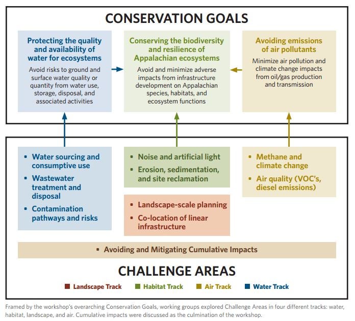 Conservation goals and challenge areas 
