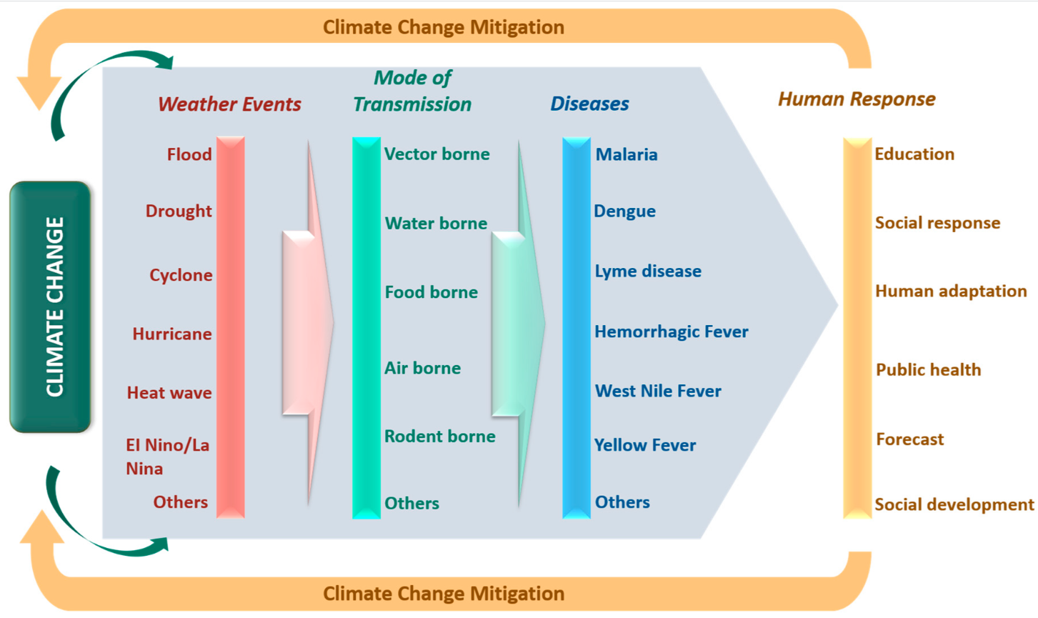 A graph representing the relationships between climate change, extreme weather events and associated diseases with their mode of transmission.