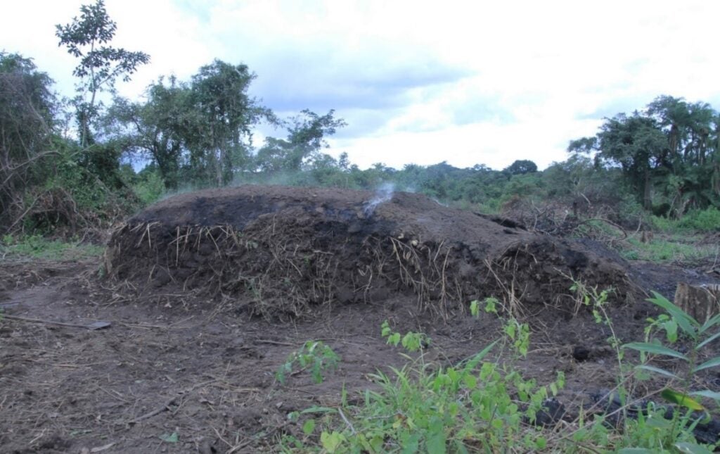 Figure 1: A single-use earth-mound kiln in an open forest in Northern Uganda.