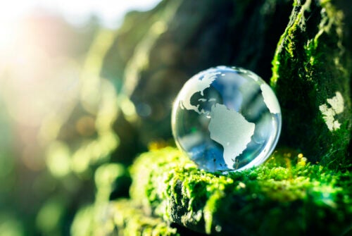 Glass globe in the in nature concept for environment and conservation