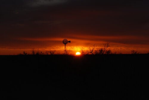 Windmill at sunset in a feild