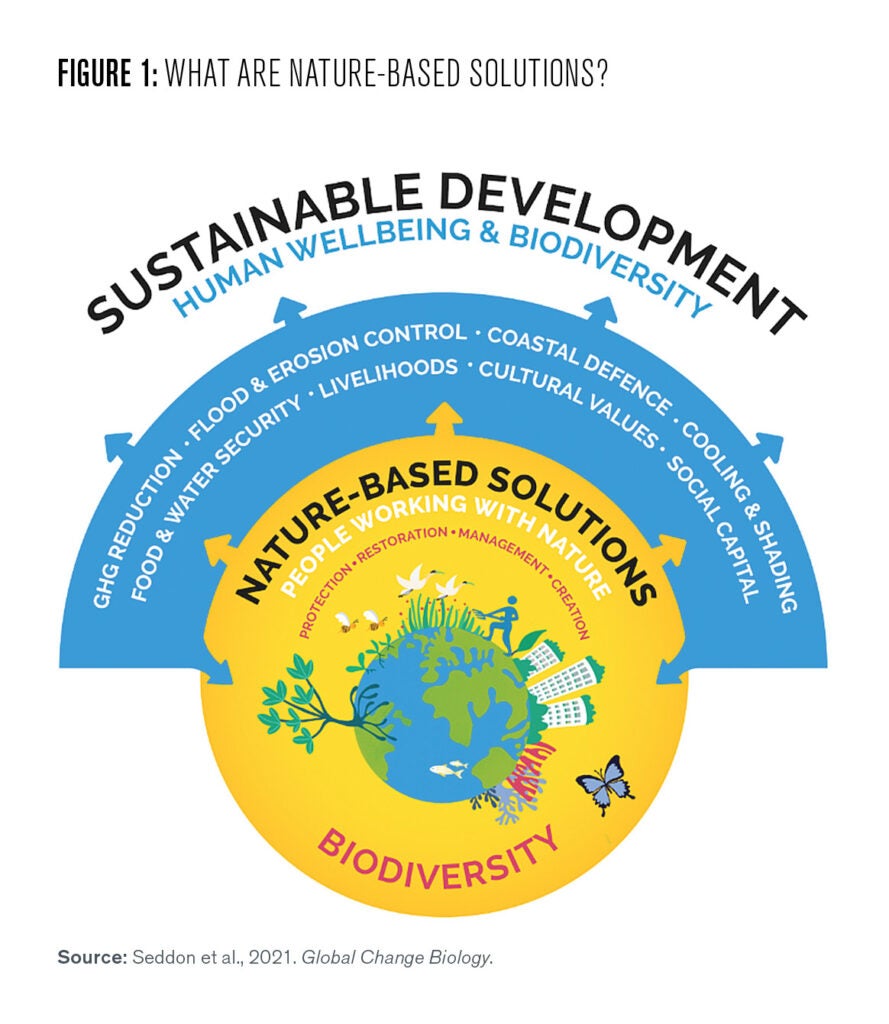 Figure 1: Nature-based solutions are actions that involve working with the natural world to simultaneously deliver benefits for people and biodiversity. They include the restoration, connection, and protection of natural and semi-natural ecosystems on land and in the sea; the sustainable management of working lands and seascapes, including croplands and timberlands; and the establishment of new ecosystems such as bringing nature, or “green infrastructure” into our towns and cities. Source: Seddon et al. 2021. Global Change Biology.