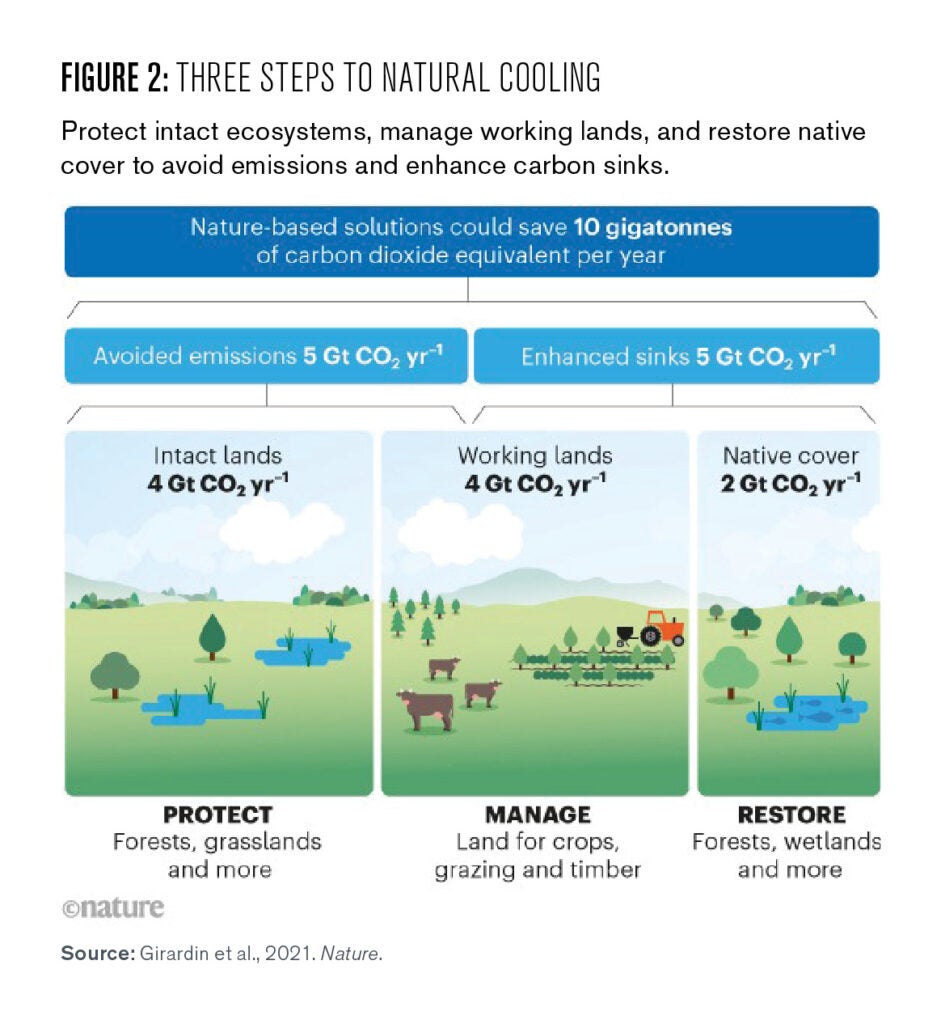 Figure 2: Overall, nature-based solutions could save 10 gigatonnes of carbon dioxide per year, with 5 gigatonnes saved in avoided emissions and another 5 saved by enhanced carbon sinks. This diagram also splits nature-based solutions across three broad categories of interventions: 1) Protection of intact ecosystems saves 4 Gt of CO2 per year. 2) Sustainable management of working lands and restoration of native vegetation saves another 4 gigatonnes per year. 3) Restoration of native cover saves 2 gigatonnes per year. Source: Girardin et al., 2021. Nature.