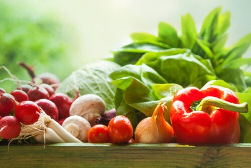 A box of farm-fresh produce, including radishes, onions, mushrooms, tomatoes, lettuce, cabbage, and red peppers.