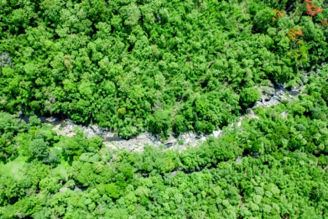 The aerial image of a high angle image in a national park sees green trees covered throughout the area in the middle, with rocks and streams