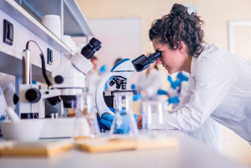 Scientist in lab doing research and using lab machines, test tubes, microscope and every laboratory equipment