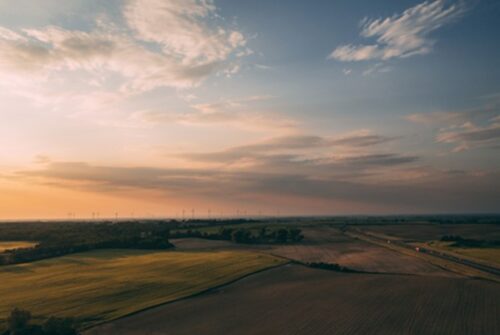 Scene of farm land