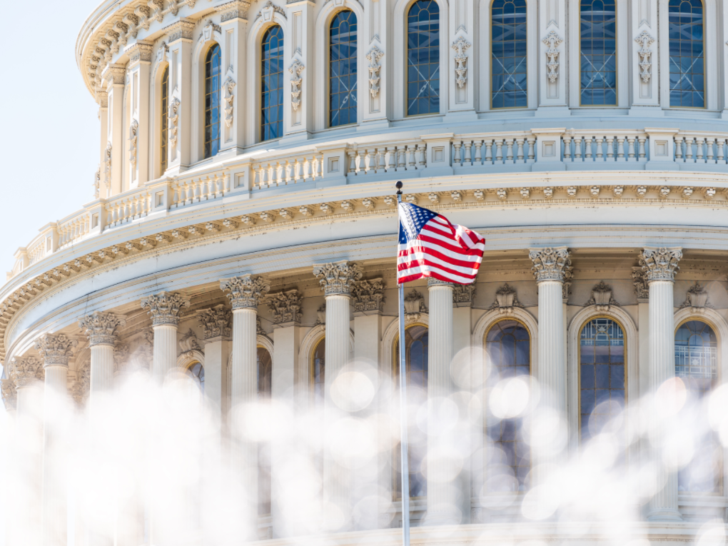 A flag flies in front of Congress