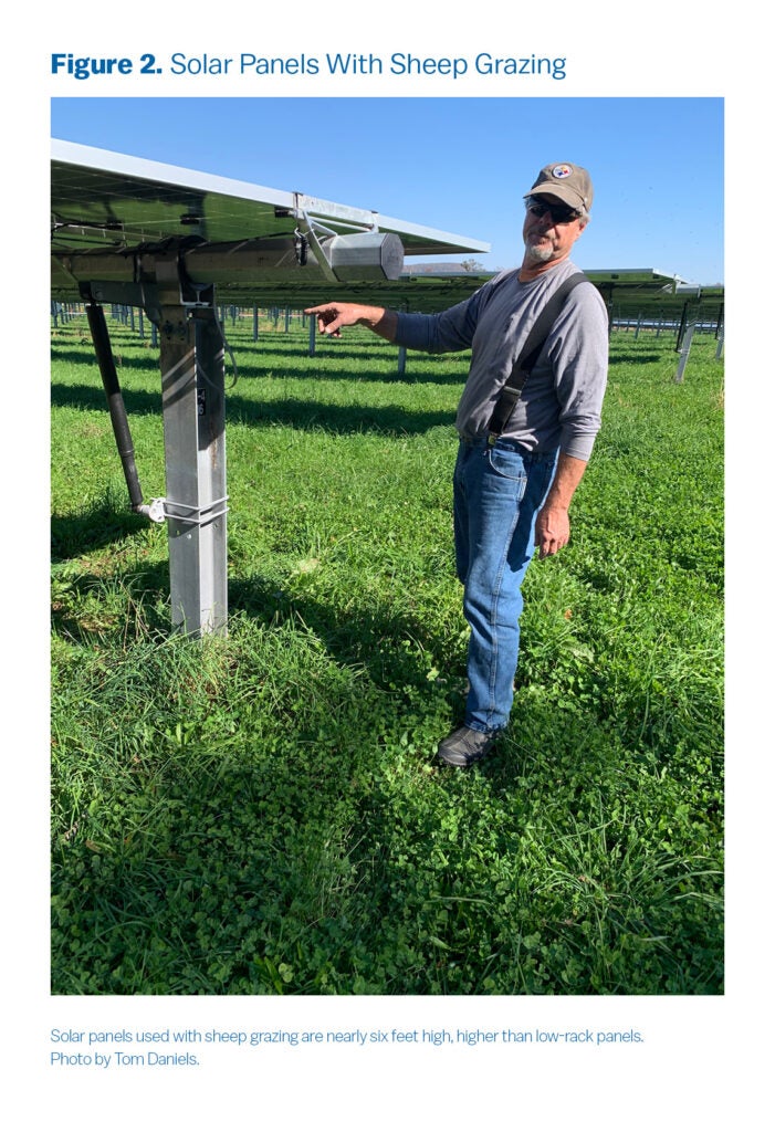 armer at Agrivoltaic Site
A man wearing jeans, a gray long-sleeve shirt, and a baseball cap stands under a solar panel in a green grassy field, pointing to part of the solar structure. The scene illustrates the combination of solar panels and agricultural land use.