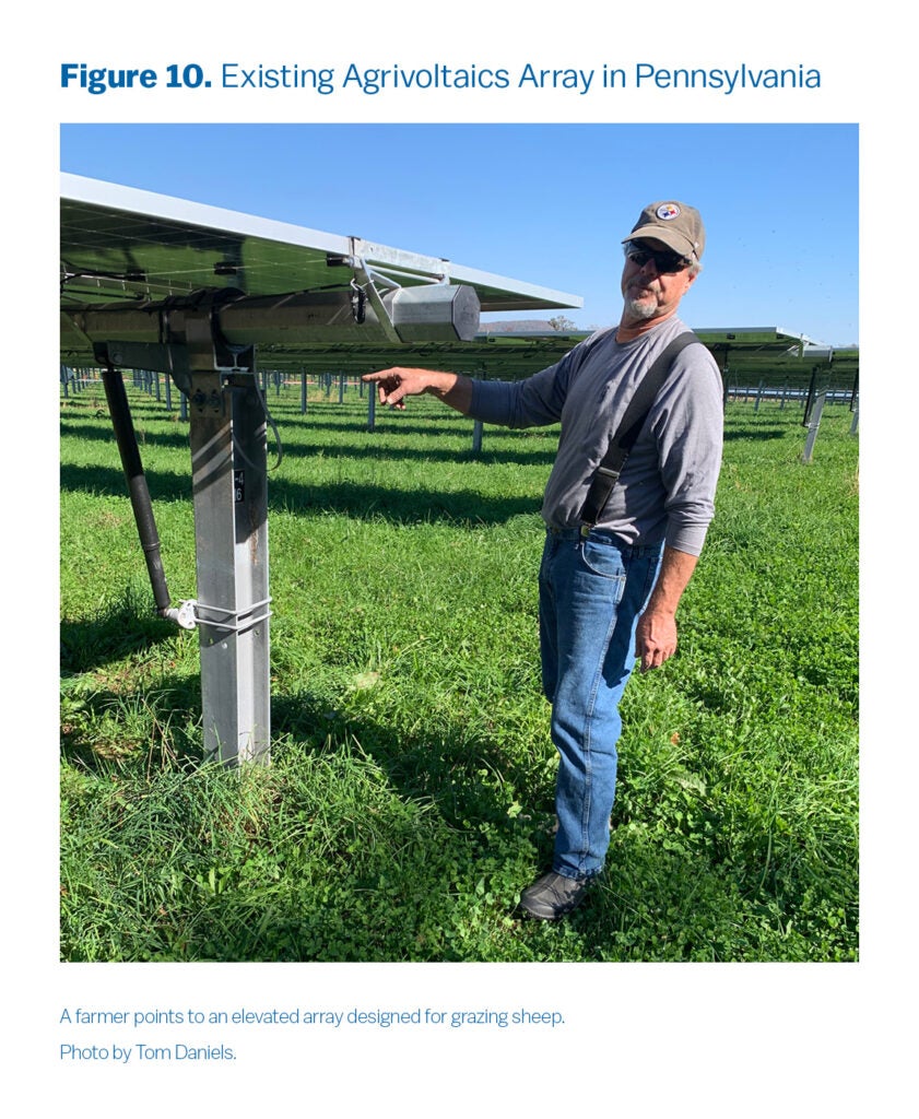 In this photo, a farmer points to an elevated array designed for grazing sheep.
