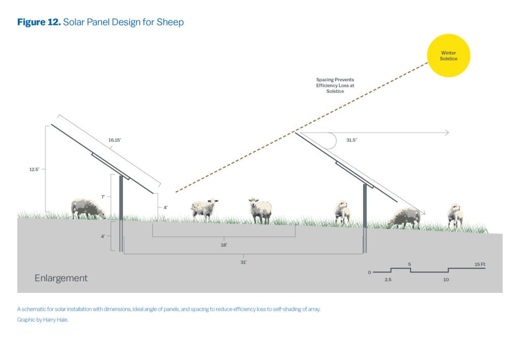 A schematic for solar installation with dimensions, ideal angle of panels, and spacing to reduce efficiency loss to self-shading of array. The panels measure in at 16.15 feet tall, 7 feet elevated off the ground, and when angled at 31.5 degrees, the panels are 12.5 feet at their highest point, and 4 feet at their lowest. Posts for each row of panels are separated by 31 feet, leaving the actual panels at 18 feet apart.

