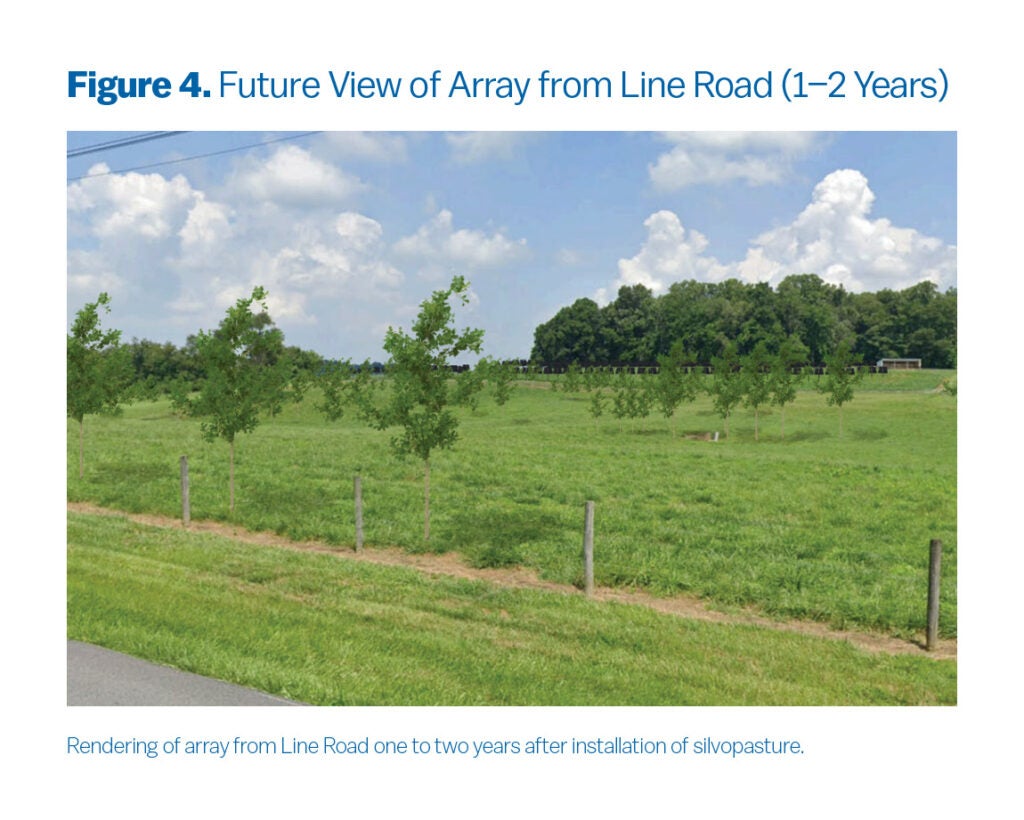 This is a photograph of the ideal location for the project, with a visionary rendering included of what the view looks like from Line Road 1–2 years after silvopasture plantings. The array is partially in view.
