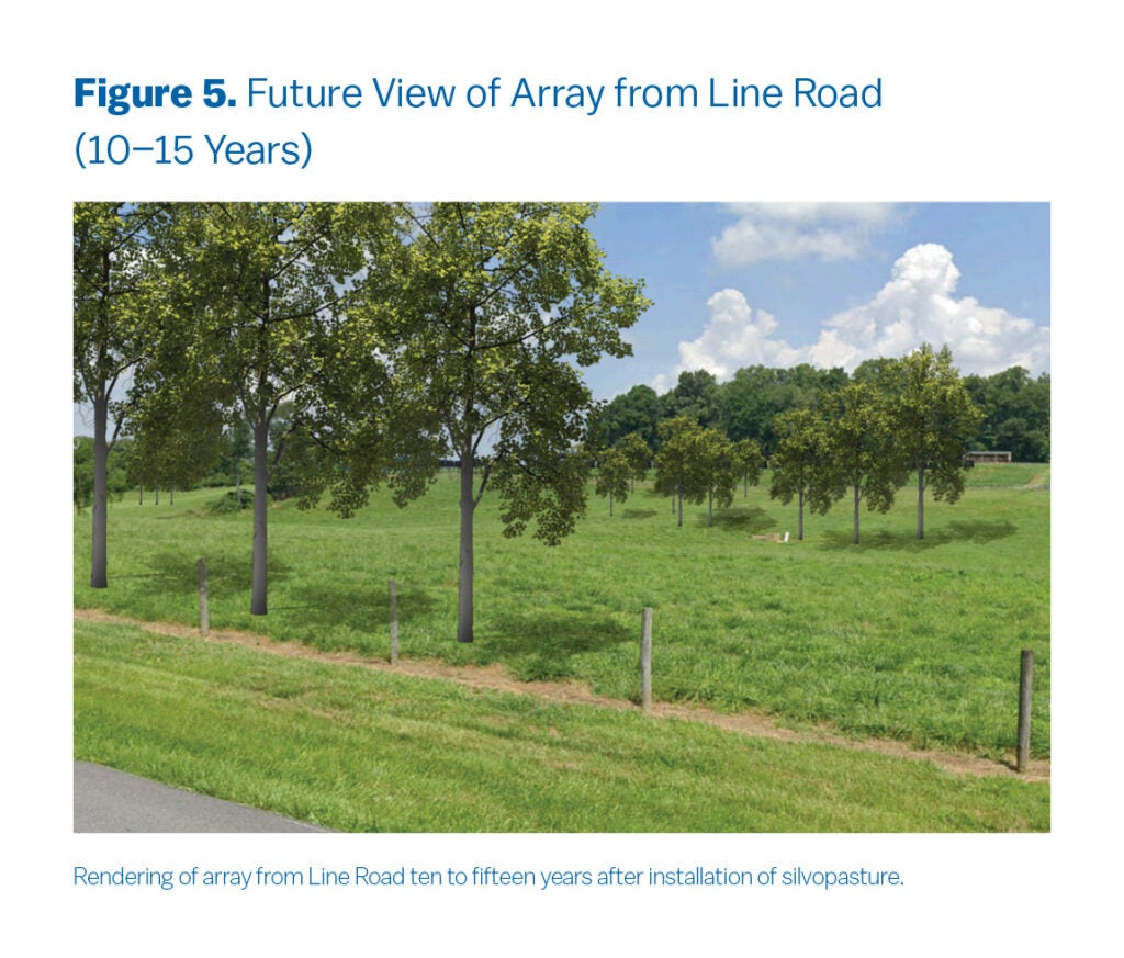 This is a photograph of the ideal location for the project, with a visionary rendering included of what the view looks like from Line Road 10–15 years after silvopasture plantings. The array is hardly noticeable.
