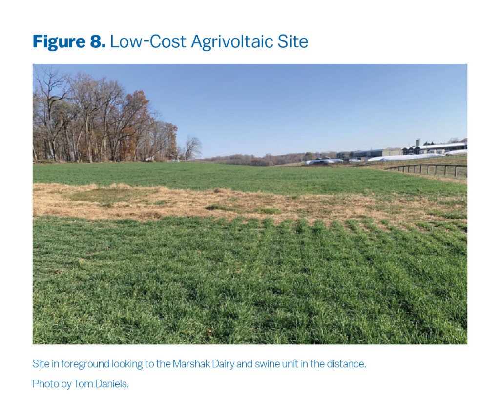 This photograph shows the proposed site for the low-cost agrivoltaic project. Marshak Dairy and swine unit are visible from from the distance.
